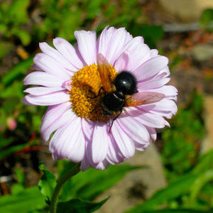 Meet your Posher, Lydia